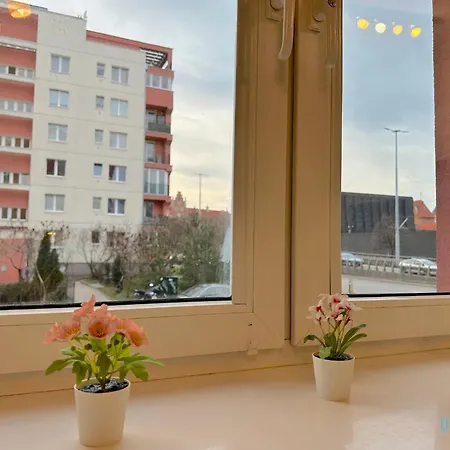 Honey Apartment- Cozy Retreat, 10 Minutes To Old Town Apartament *
